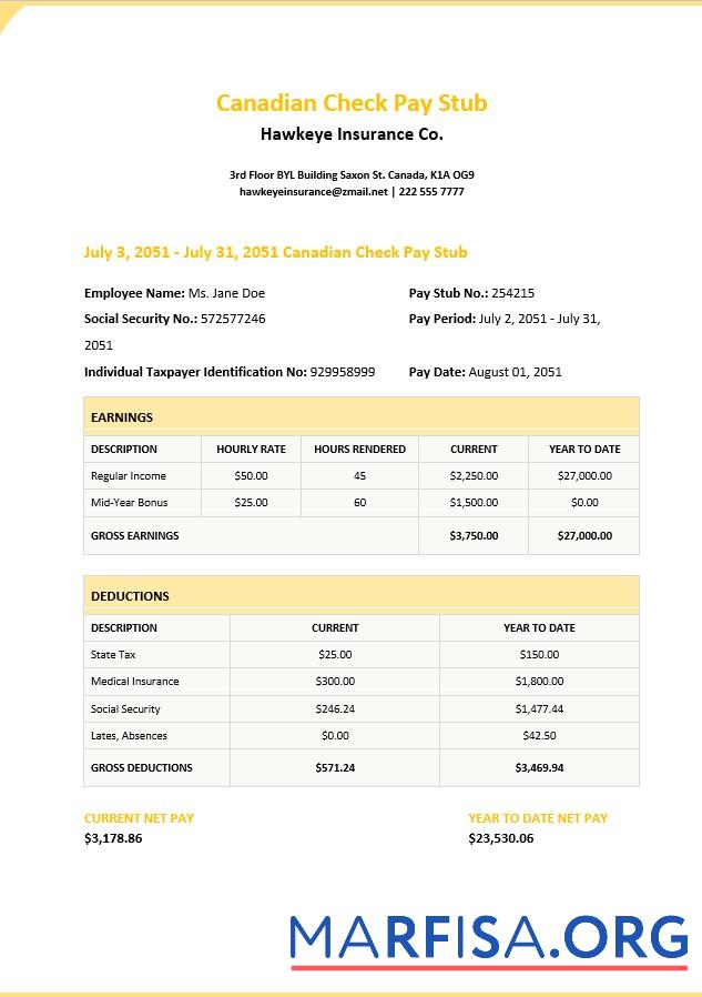 Blank Canadian Check Pay Stub download for verification